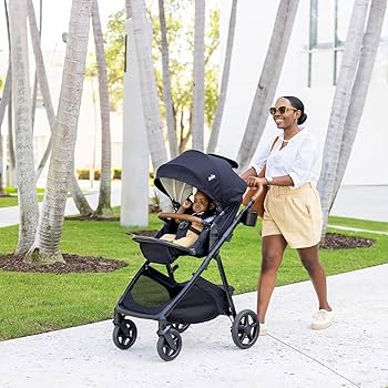 Joie　1223 Amazon.com : Joie Ginger 4-in-1 Convertible Pramette and